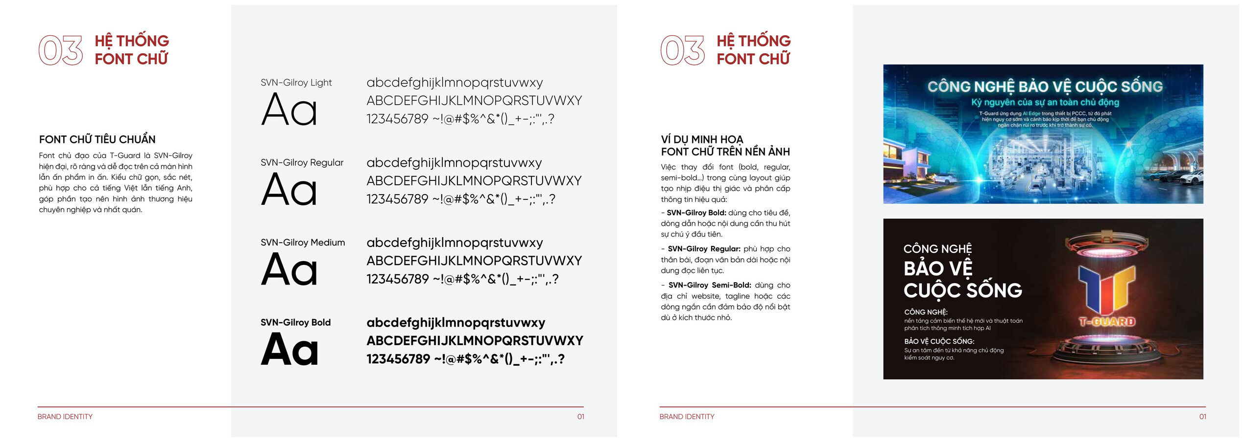T-Guard type system and type over photography
